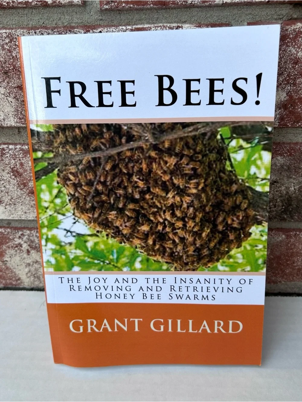 Free Bees! Joy & The Insanity Of Removing & Retrieving Honey Bee Swarms Gillard